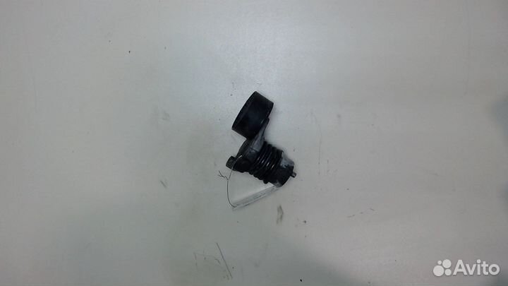 Натяжитель приводного ремня Dacia Sandero 2012, 20