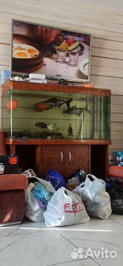 Аквариум