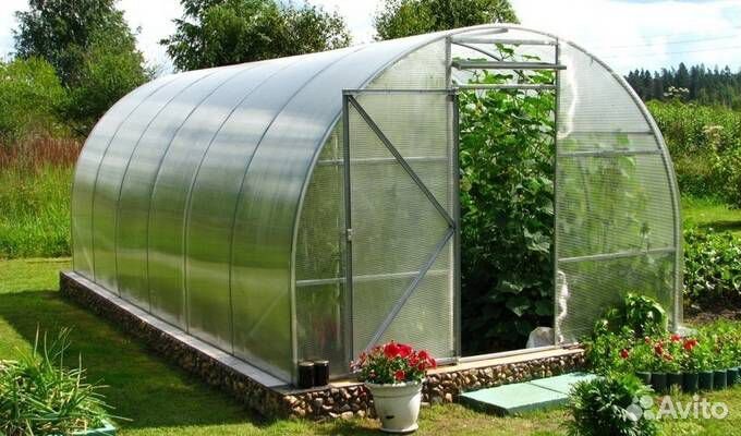 Кустарники, цветы (посадочный материал)