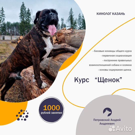 Дрессировка собак. Кинолог