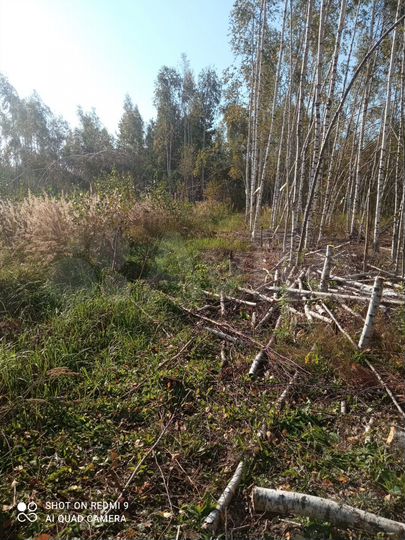 Участок 30 сот. (ИЖС)