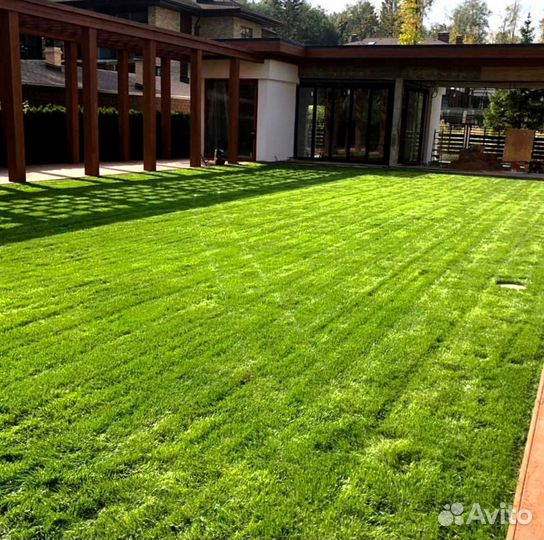 Рулонный газон