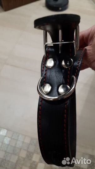 Фирменный ошейник для крупной собаки