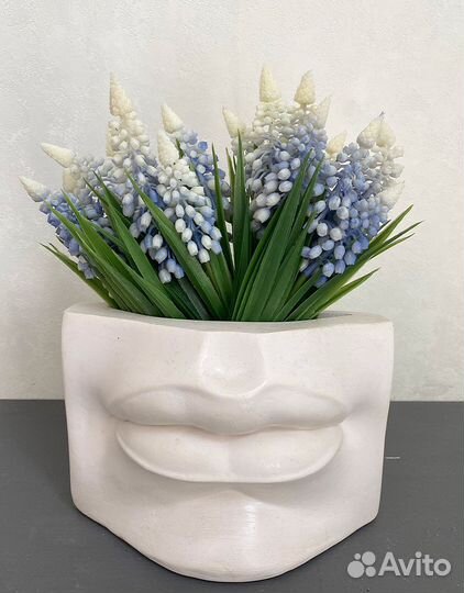 Мускари в кашпо губы