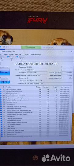 Внешний жесткий диск Toshiba canvio basics DTB410