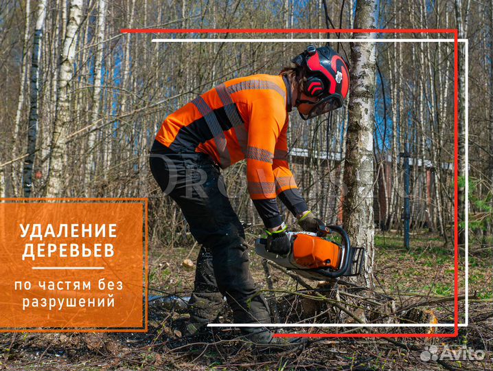 Обрезка, спил и удаление деревьев в Орехово-Зуево