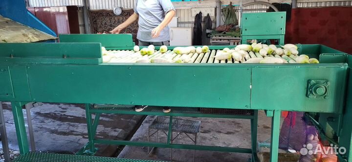 Мойка овощной продукции