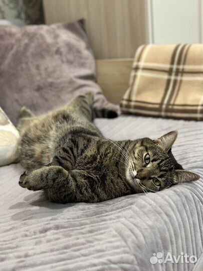 Фотосессии на iPhone 14 pro max