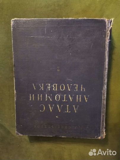 Атлас анатомии человека. Том 2