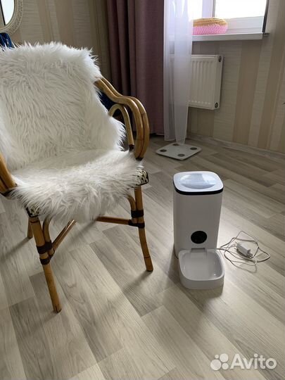 Кормушка с камерой Wi-Fi для кошек и собак