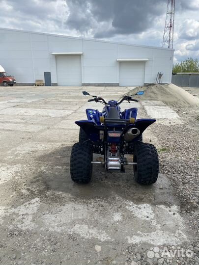 Yamaha raptor
