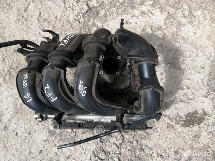 Впускной коллектор Форд фокус 2 1.6 100 л.с