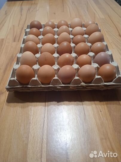 Яйцо куриное домашнее