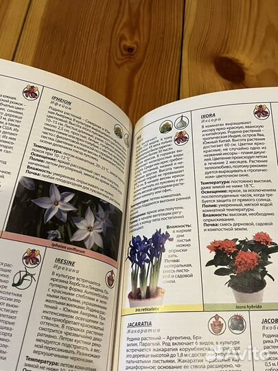 Энциклопедия всех комнатных растений