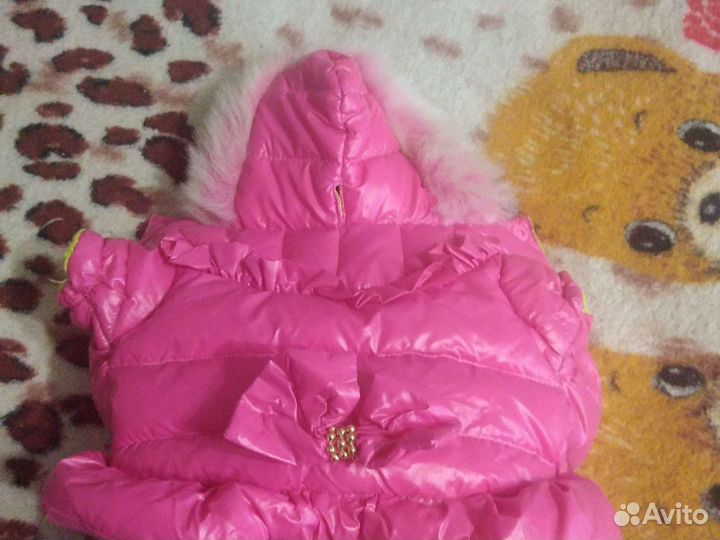 Костюм для чихуа