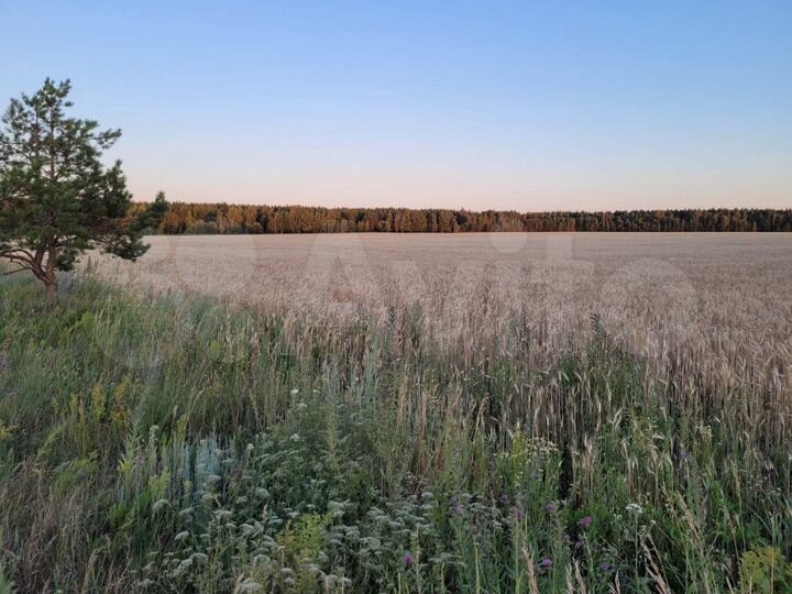 Участок 83 га (СНТ, ДНП)