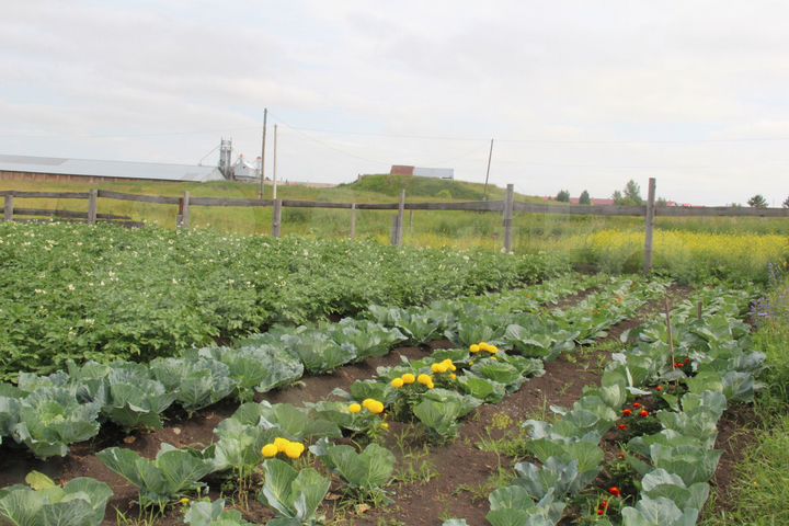 Дом 101 м² на участке 15 сот.