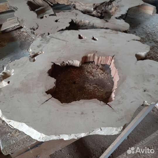 Спилы карагача