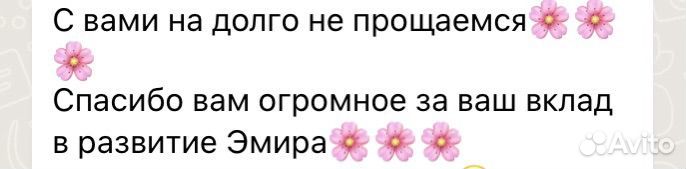 Репетитор по русскому языку и литературе