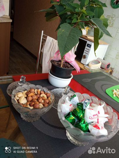 Вазы для дачи