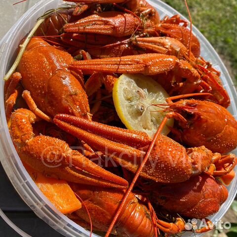 Волжские раки