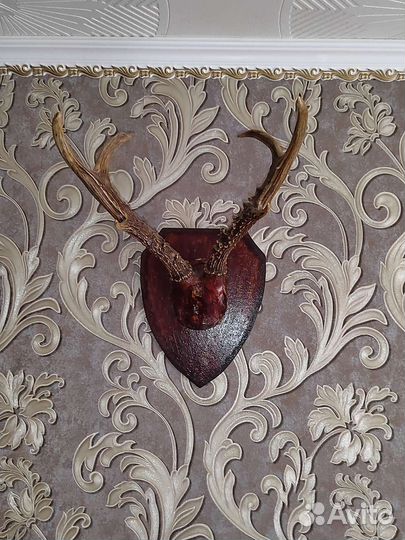 Продам Рога