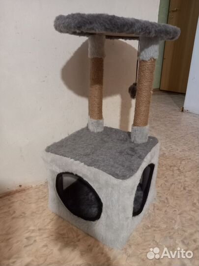 Когтеточка