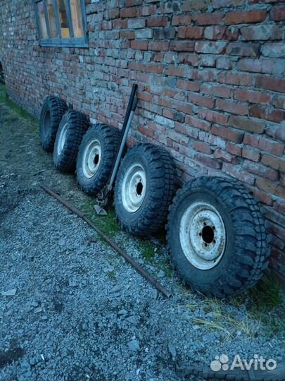 Резина сафари 500