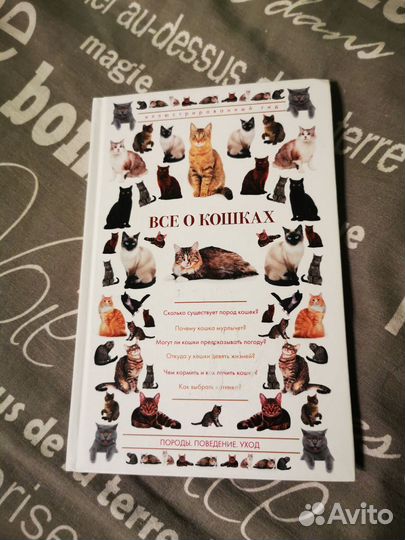 Книга о кошках
