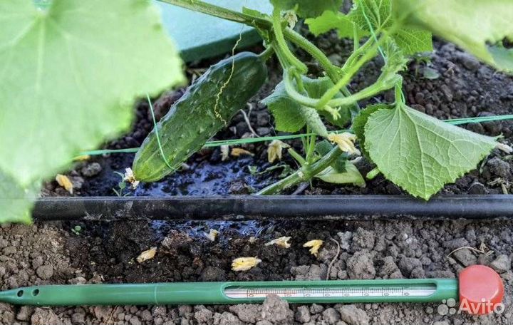 Капельная лента zelna (урожайная)