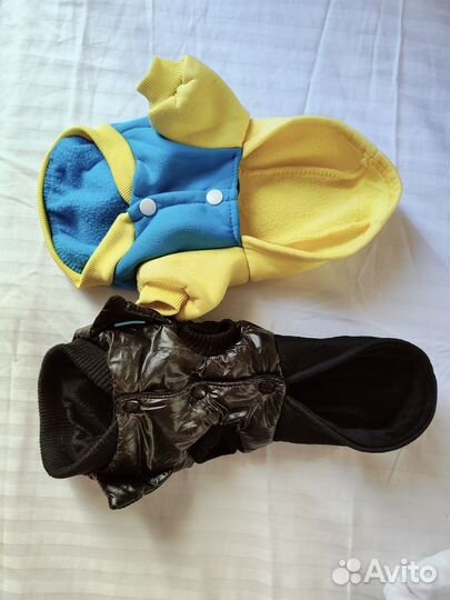 Одежда для кошек/мини собак