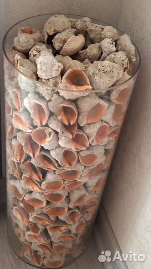 Ваза напольная с раковинами рапана