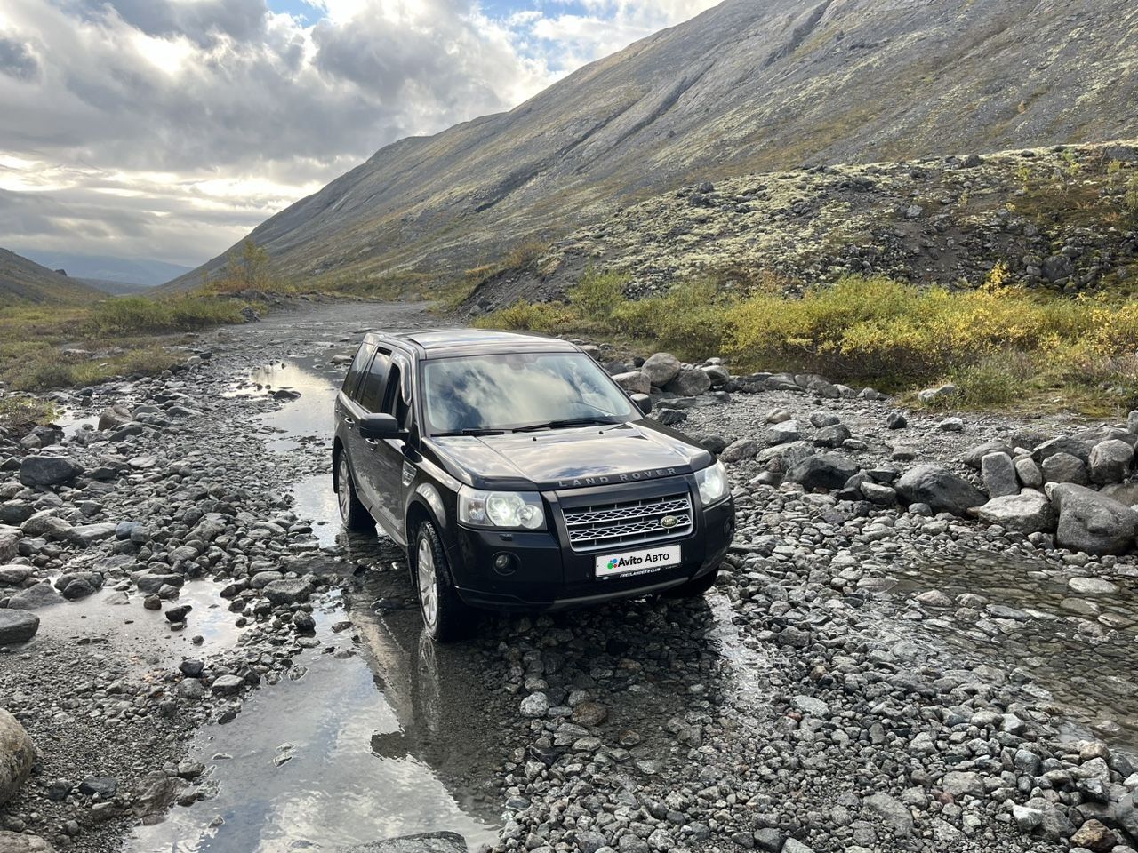 Land Rover Freelander: фото владельца