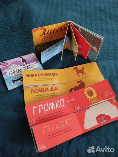 Детские книги для малышей Найди пару