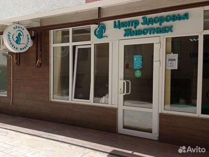 Ветеринарный врач