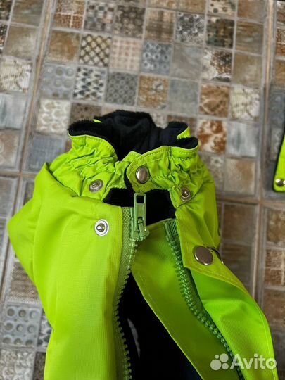 Зимний комбинезон Dino на кобеля