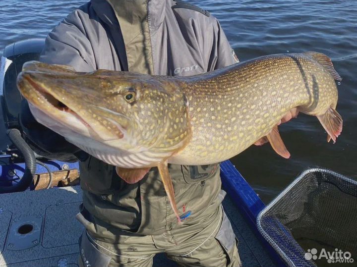 Рыбалка с гидом, организация рыбалки, обучение