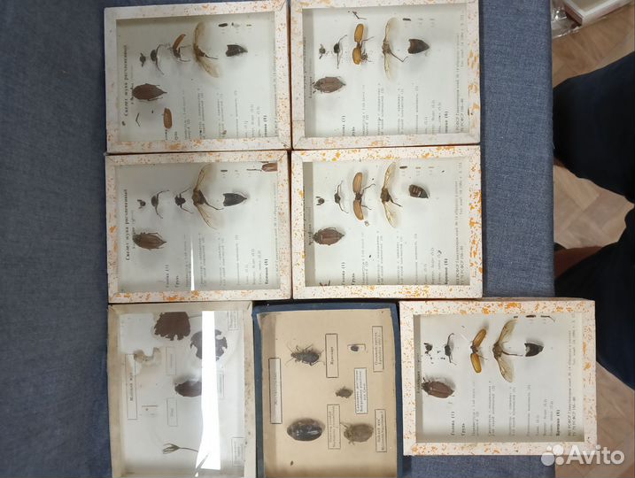 Пособия по зоологии