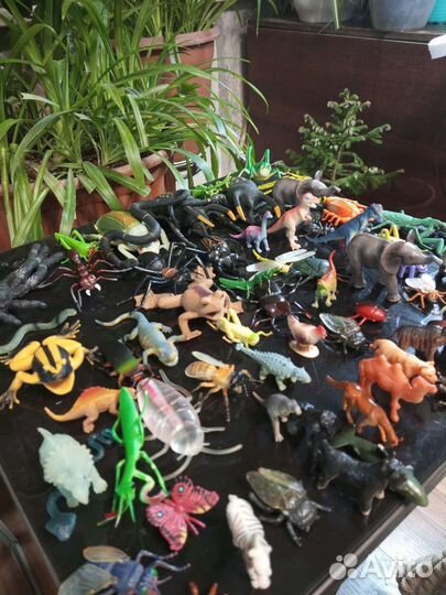 Коллекция животных цена за всё