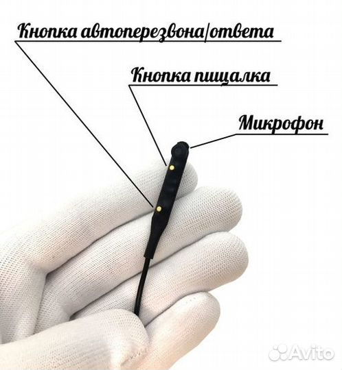 Микронаушник для экзамена с пищалкой