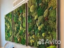 Экологичный уголок из мха Арт: 214351