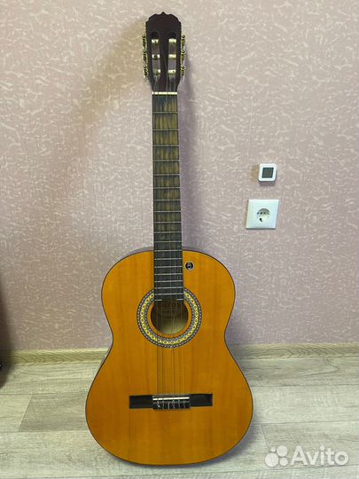 Классическая гитара Euphony EC-100yw