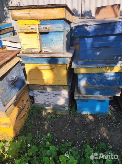 Ульи для пчел