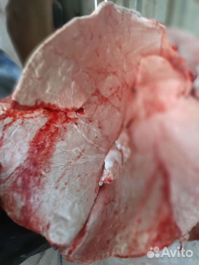 Мясо / Обрезь/ Говядина для собак