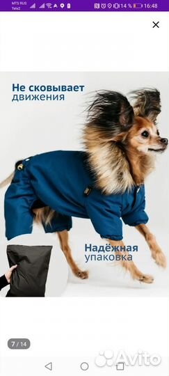 Вещи для собак