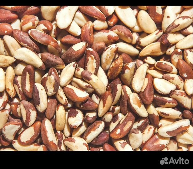 Орехи и сухофрукты из Таджикистана