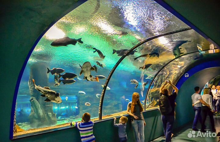 Билеты в Москвариум