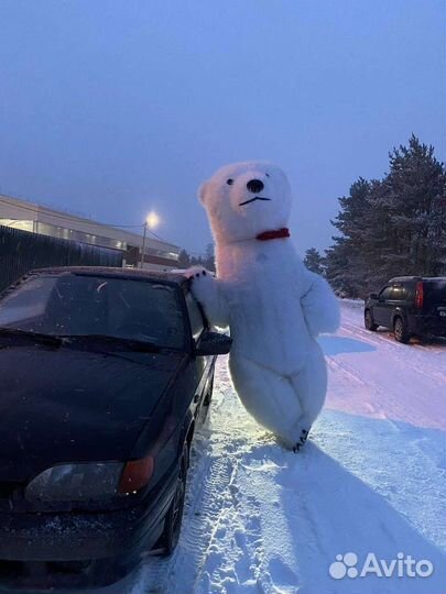 Поздравление от белого медведя 3м аниматор