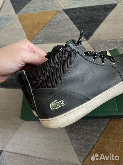 Кеды Lacoste р39