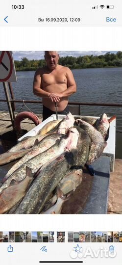 Орионбот 46д